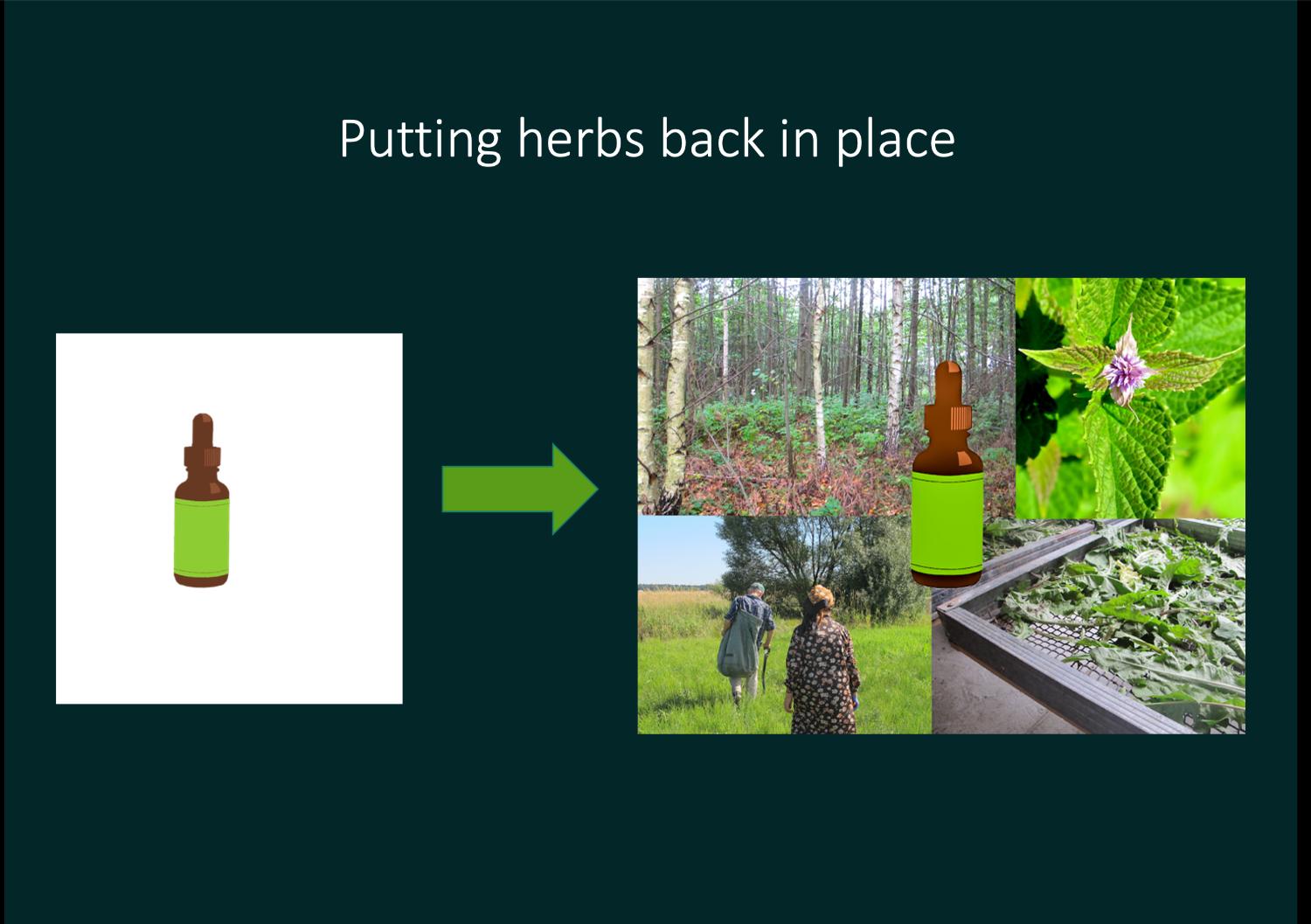 putting herbs back in place